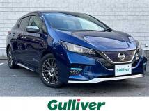 2019 Nissan Leaf