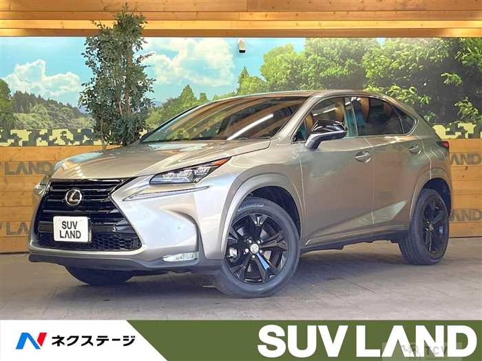 2017 Lexus NX
