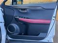 2020 Lexus NX