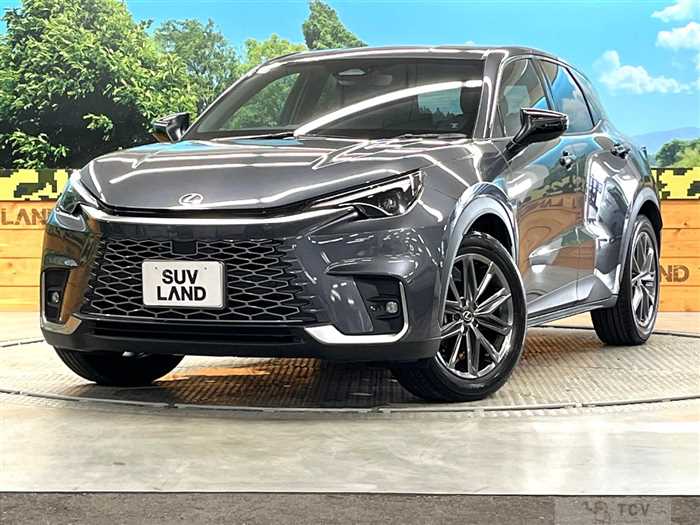 2025 Lexus Other