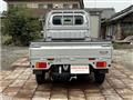 2019 Suzuki Carry Truck