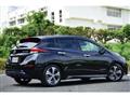 2017 Nissan Nissan Others
