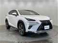 2018 Lexus NX