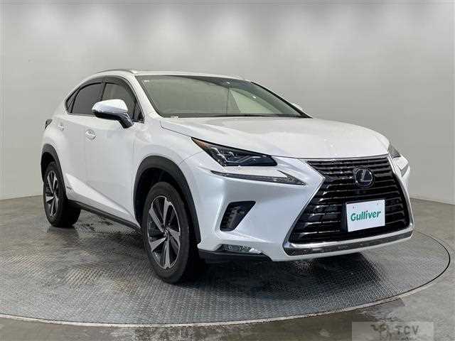 2018 Lexus NX