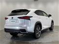 2018 Lexus NX