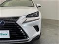 2018 Lexus NX