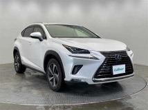 2018 Lexus NX