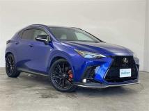 2021 Lexus NX