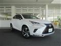 2021 Lexus NX