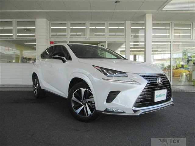 2021 Lexus NX