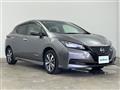 2022 Nissan Leaf
