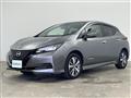 2022 Nissan Leaf