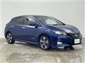 2021 Nissan Leaf