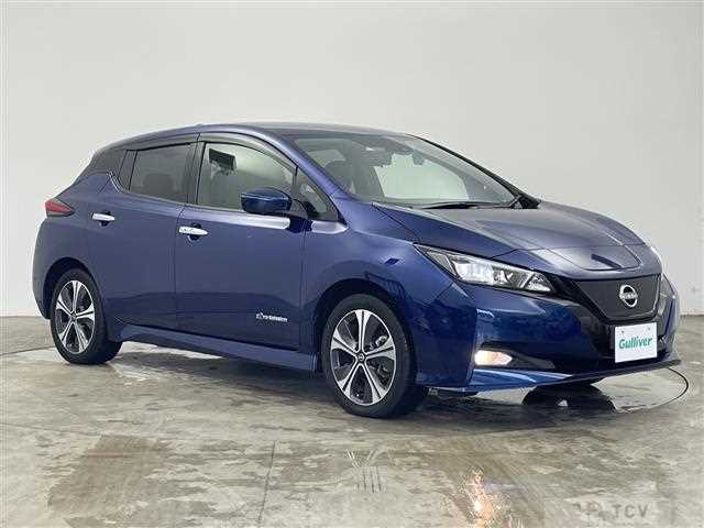 2021 Nissan Leaf