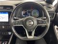 2021 Nissan Leaf