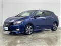 2021 Nissan Leaf