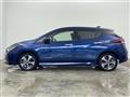 2021 Nissan Leaf