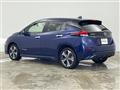 2021 Nissan Leaf