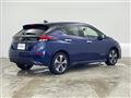 2021 Nissan Leaf