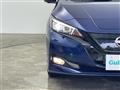 2021 Nissan Leaf