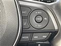 2019 Toyota Corolla Sports