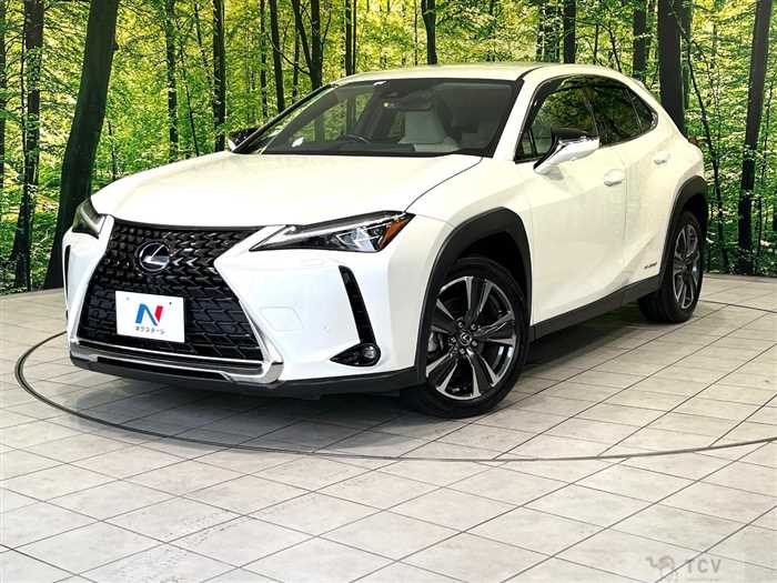 2019 Lexus Other