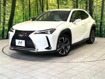 2019 Lexus Other
