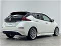2020 Nissan Leaf