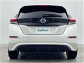 2020 Nissan Leaf