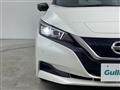2021 Nissan Leaf