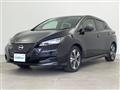 2021 Nissan Leaf