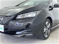 2021 Nissan Leaf