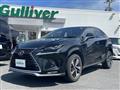 2020 Lexus NX