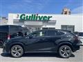 2020 Lexus NX