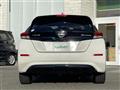 2018 Nissan Leaf