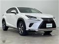 2019 Lexus NX