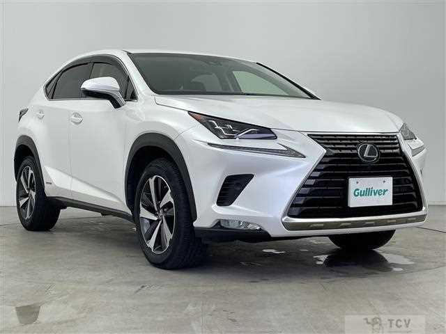 2019 Lexus NX