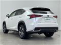 2019 Lexus NX