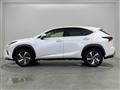 2019 Lexus NX