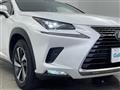 2019 Lexus NX