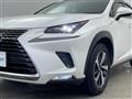 2019 Lexus NX