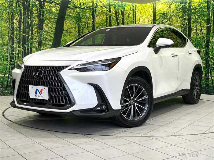 2023 Lexus NX