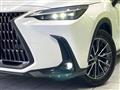 2023 Lexus NX