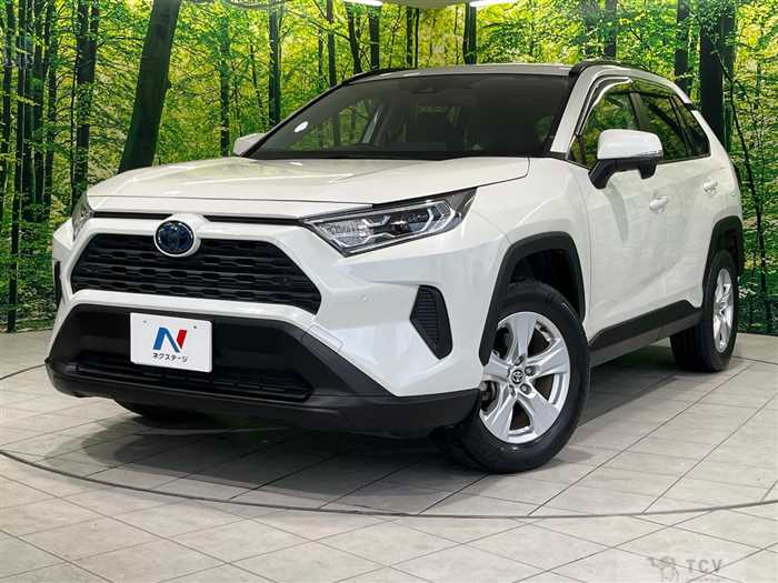 2020 Toyota RAV4