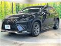 2019 Lexus NX