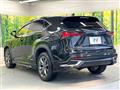2019 Lexus NX