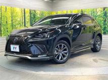 2019 Lexus NX