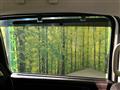 2024 Honda Freed