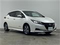 2021 Nissan Leaf