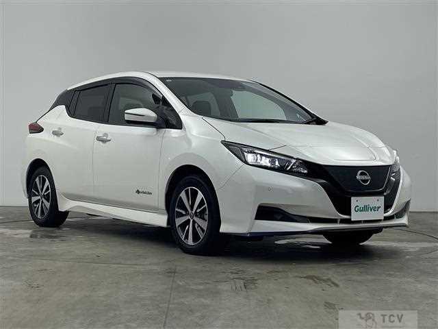 2021 Nissan Leaf